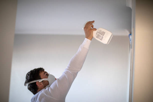 Best Mold Remediation  in Locust Grove, GA